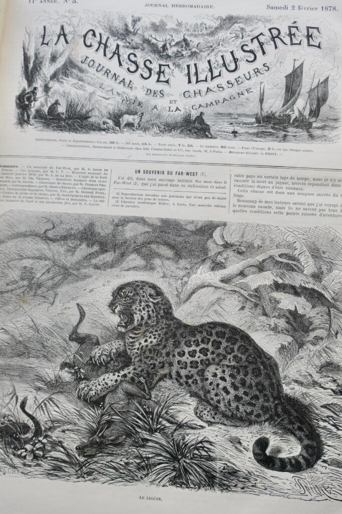 Illustriertes Jagdjournal 1878
