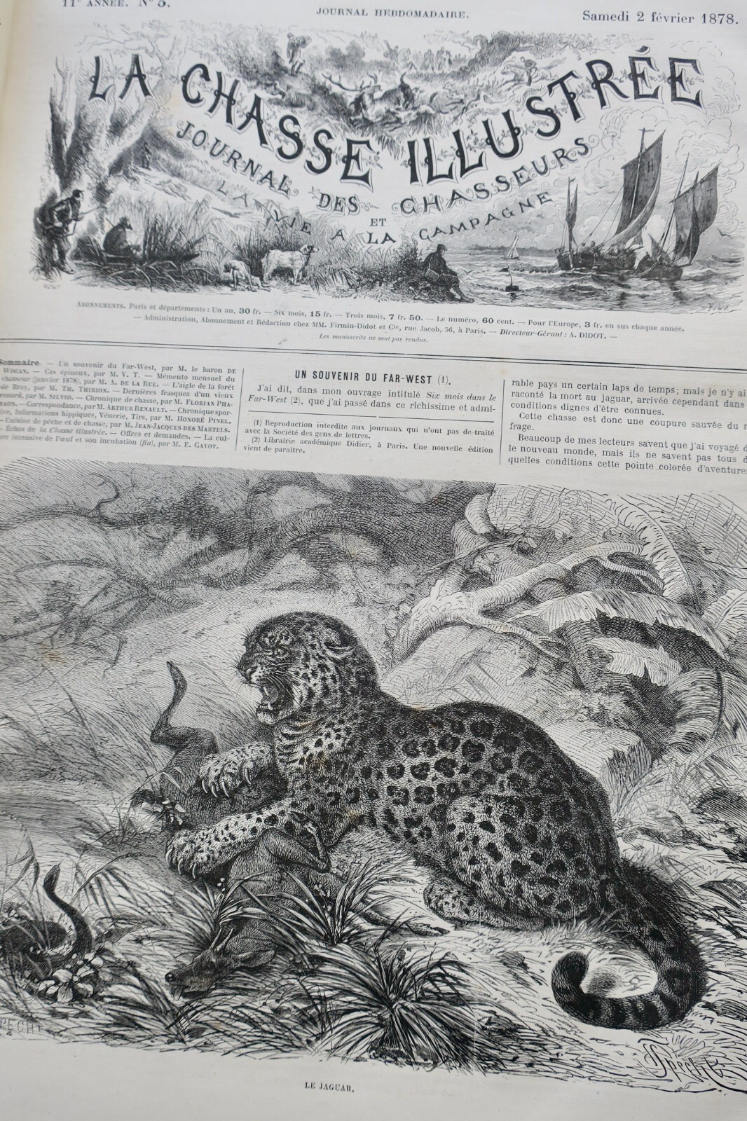Illustriertes Jagdjournal 1878 - Image 3