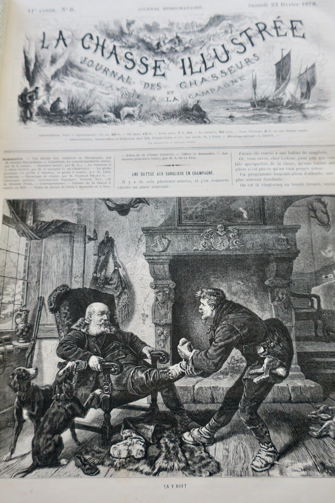 Illustriertes Jagdjournal 1878 - Image 6