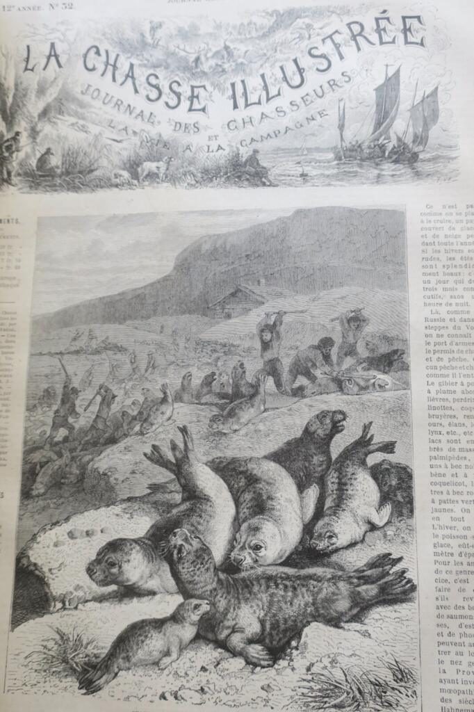 Jagdzeitschrift mit Holzstich-Illustrationen, 1879