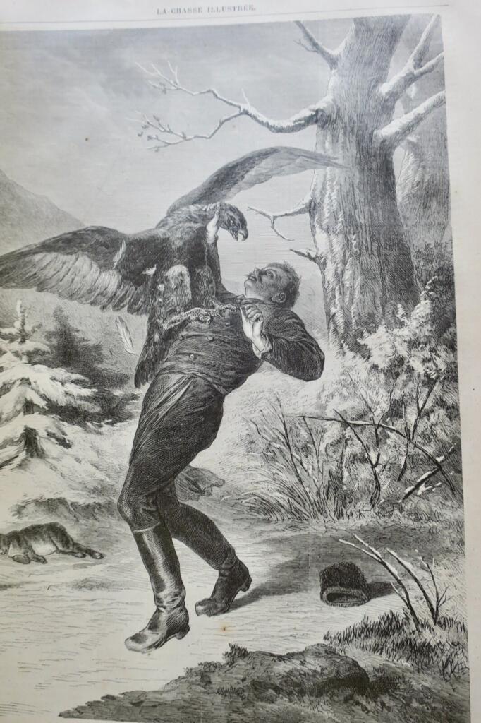 Jagdzeitschrift mit Holzstich-Illustrationen, 1879