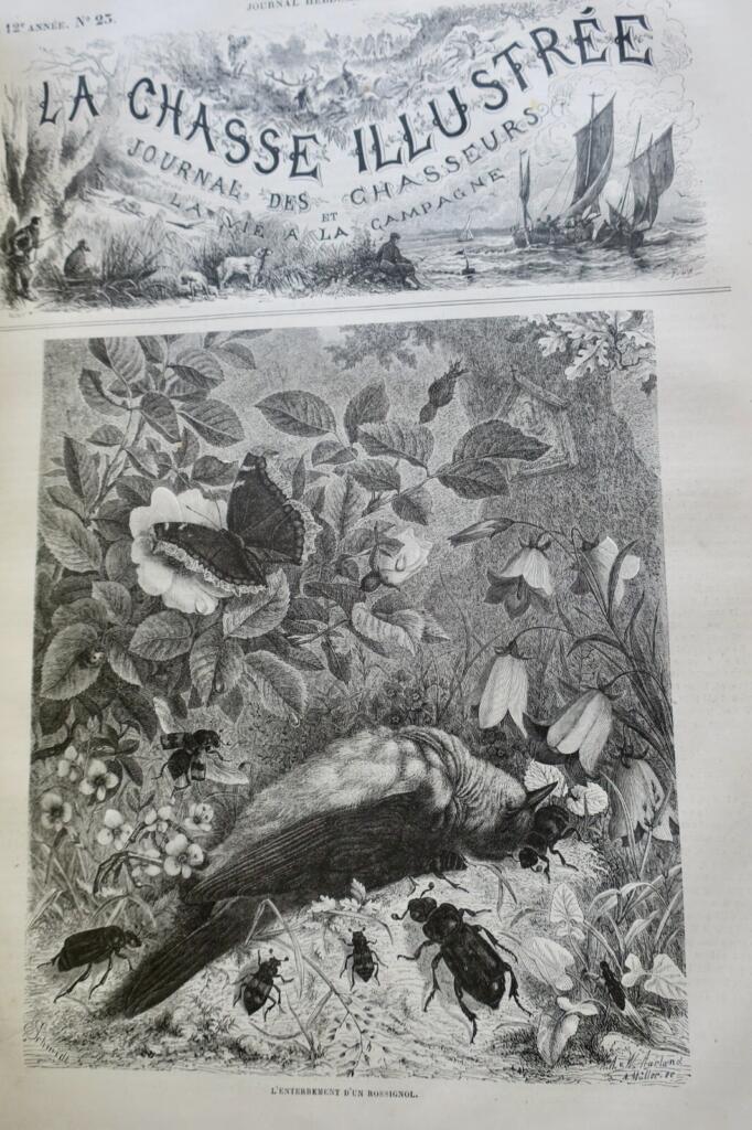 Jagdzeitschrift mit Holzstich-Illustrationen, 1879