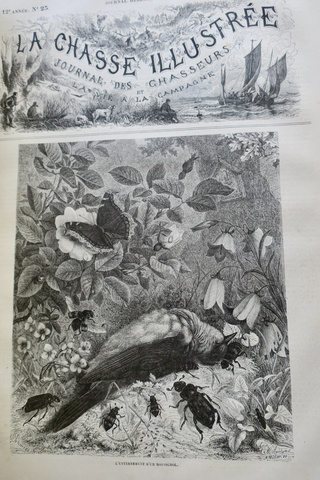 Hunting Journal with Woodcut Illustrations, 1879 - Image 5
