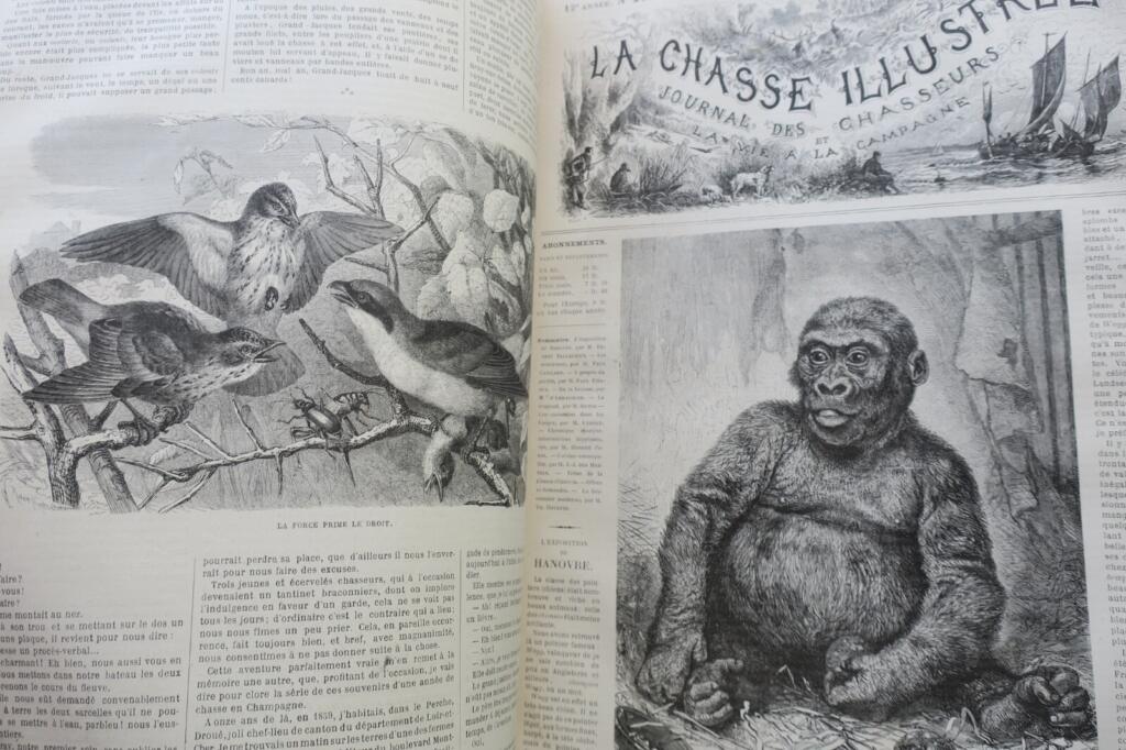Jagdzeitschrift mit Holzstich-Illustrationen, 1879