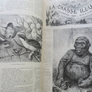 Chasse illustrée - Journal des chasseurs et de la vie à la campagne 1879