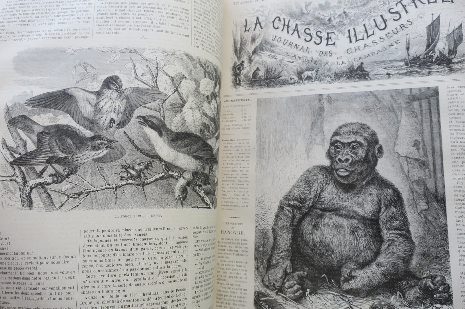 Chasse illustrée - Journal des chasseurs et de la vie à la campagne 1879