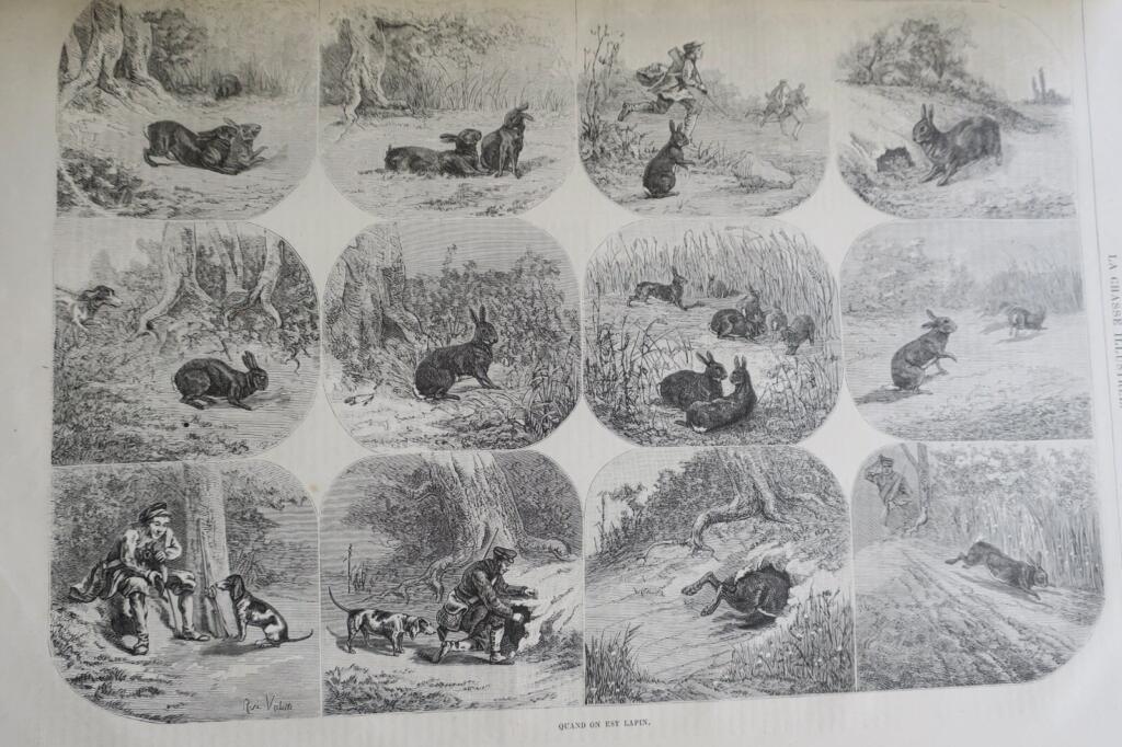 Jagdzeitschrift mit Holzstich-Illustrationen, 1879