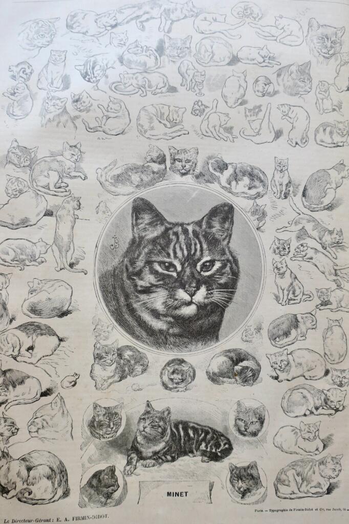 Jagdzeitschrift mit Holzstich-Illustrationen, 1879