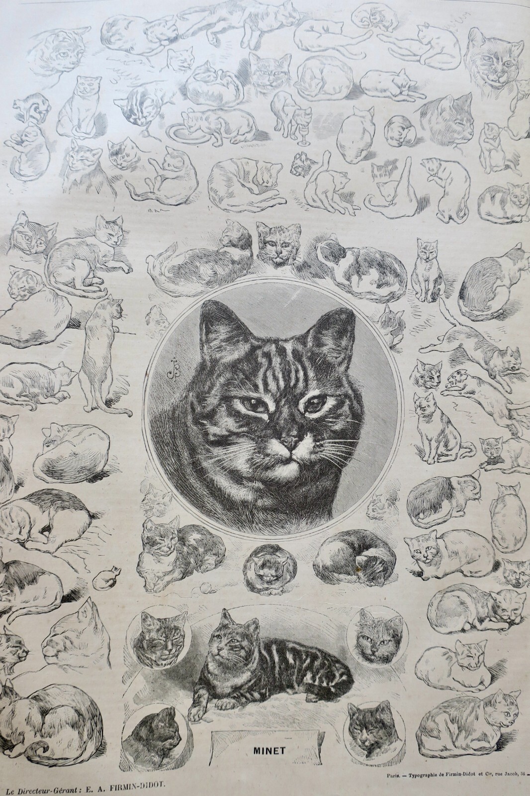Hunting Journal with Woodcut Illustrations, 1879 - Image 11
