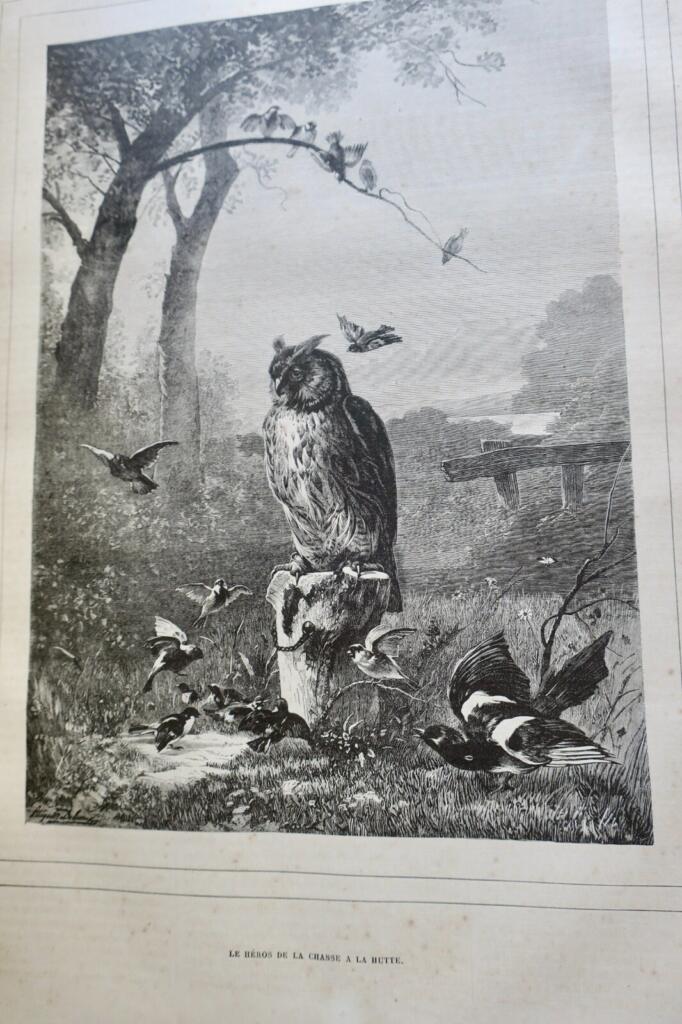Jagdzeitschrift mit Holzstich-Illustrationen, 1879