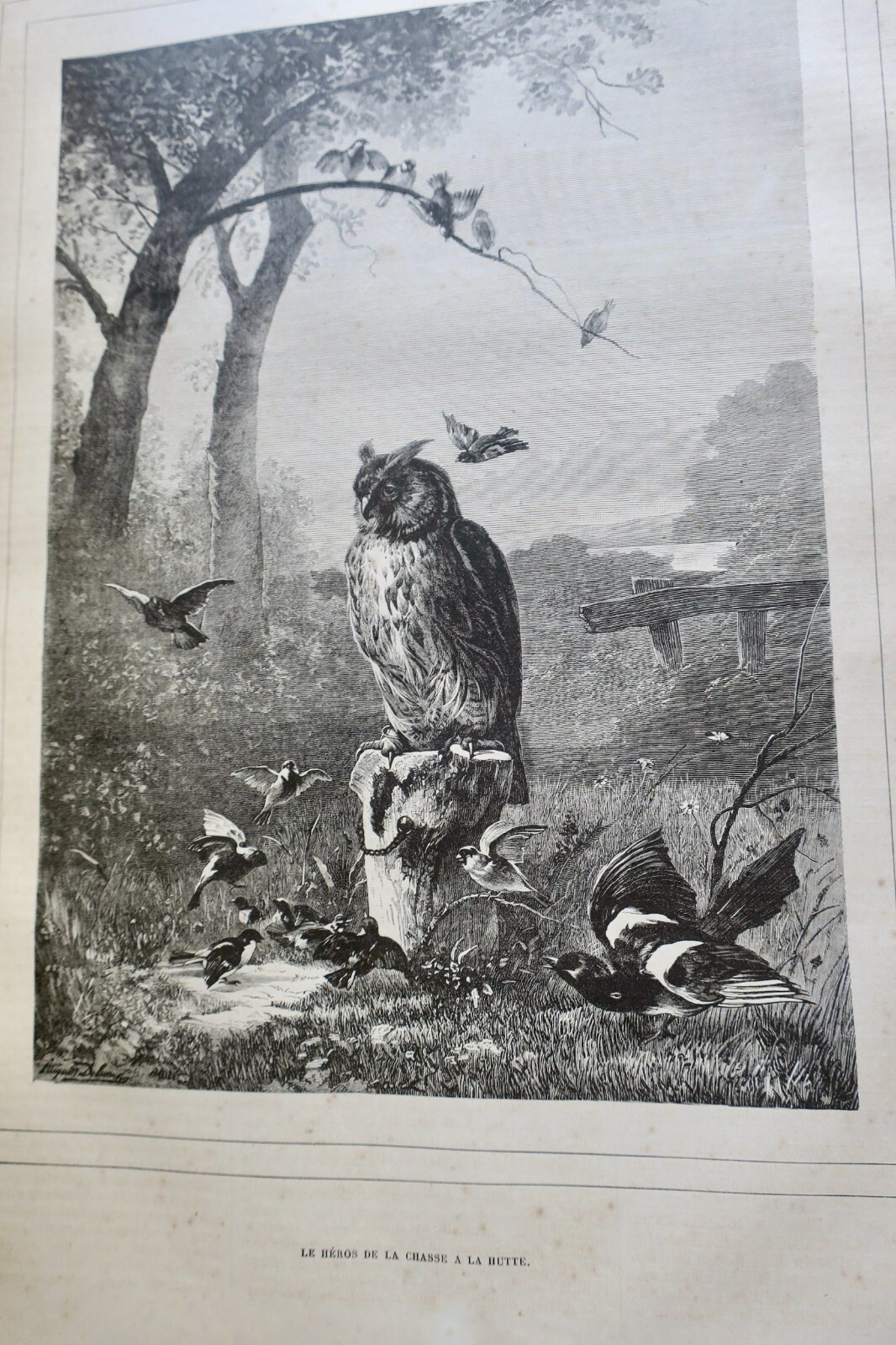 Hunting Journal with Woodcut Illustrations, 1879 - Image 10