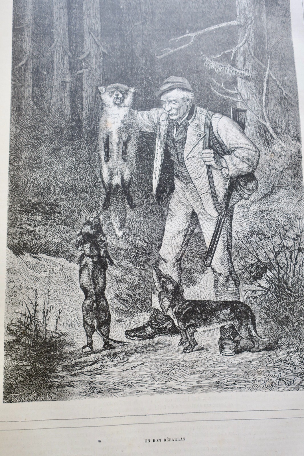 Chasse illustrée – Journal des chasseurs et de la vie à la campagne 1880 - La Librairie Antique