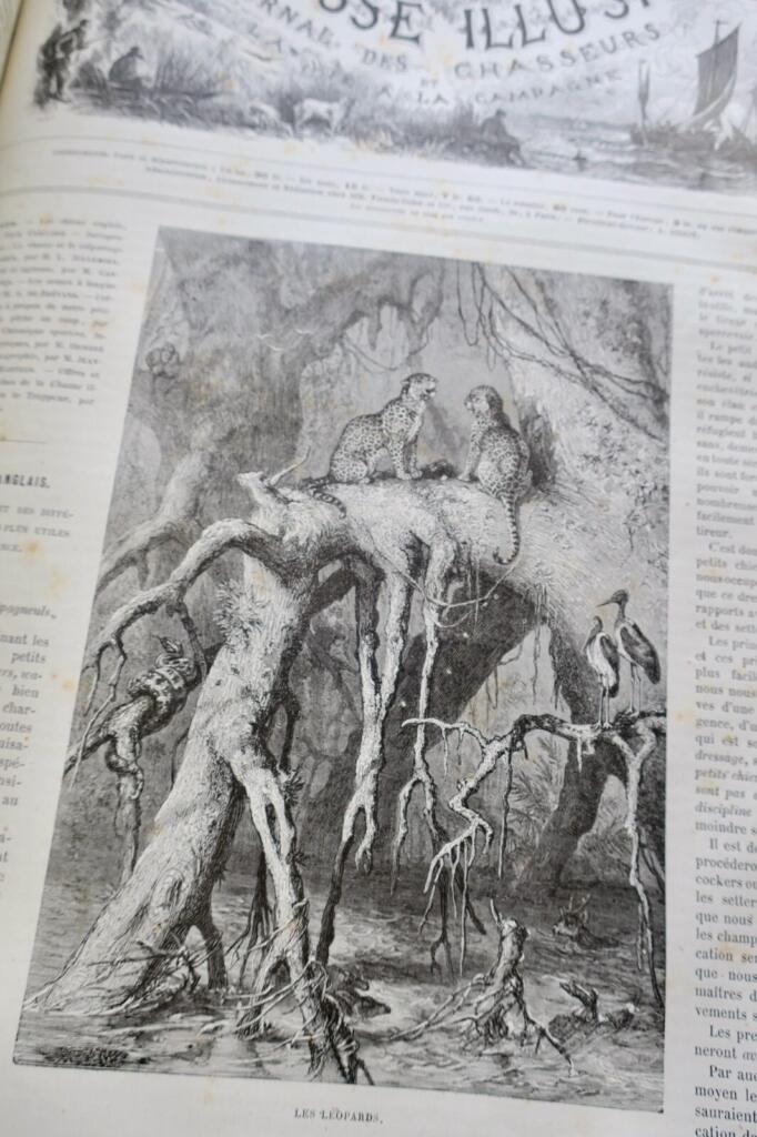Illustrated Hunting Journal 1880