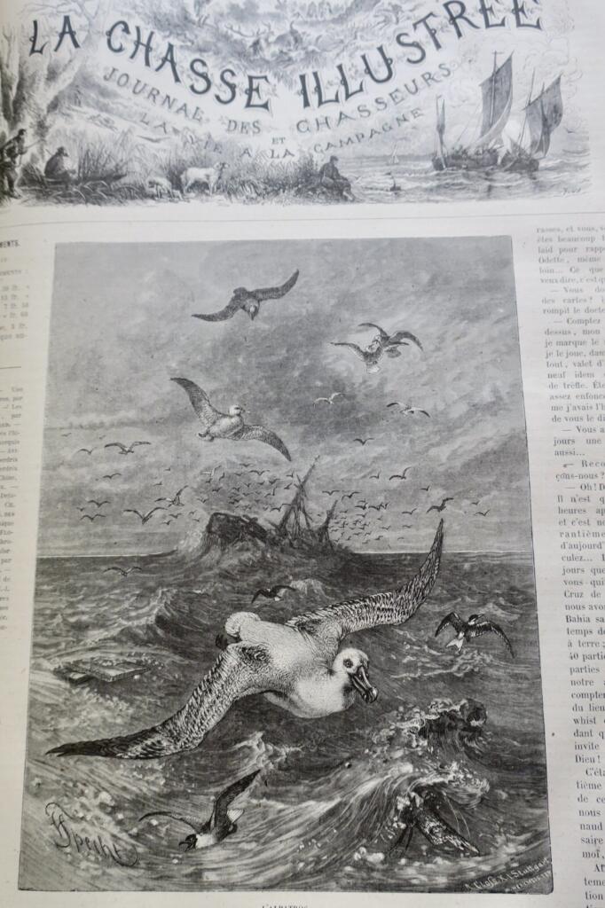 Illustrated Hunting Journal 1880