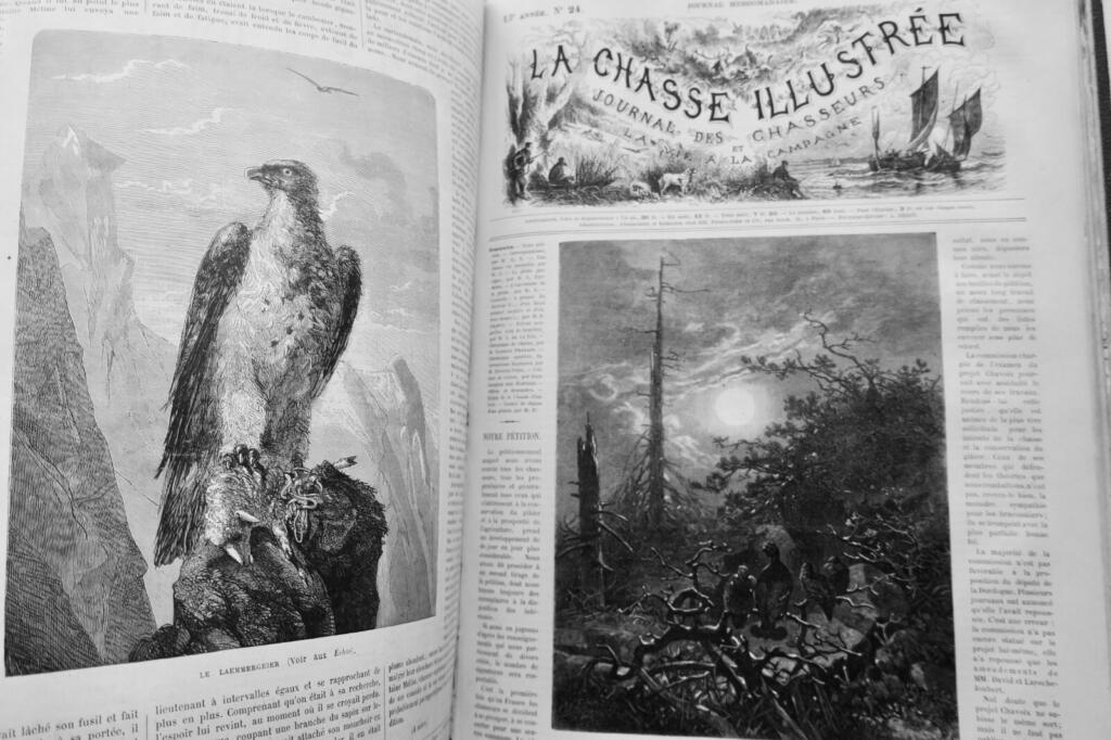Illustrated Hunting Journal 1880
