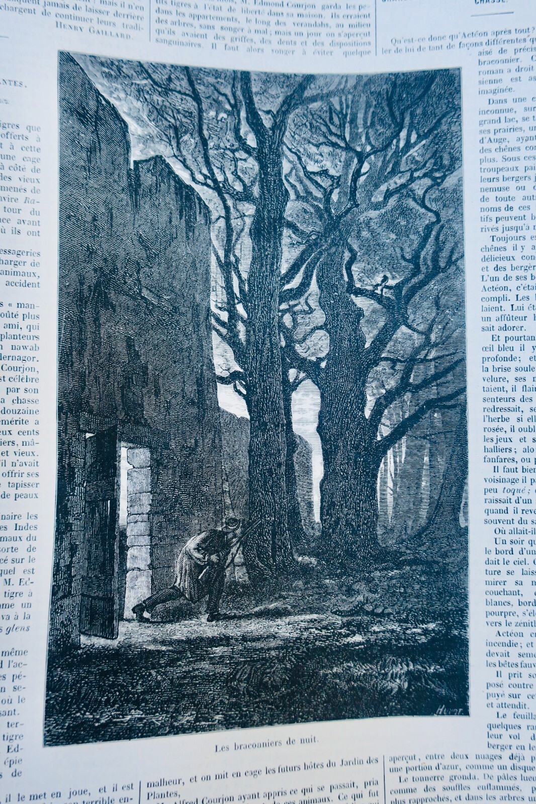 Illustriertes Jagdjournal - Image 11