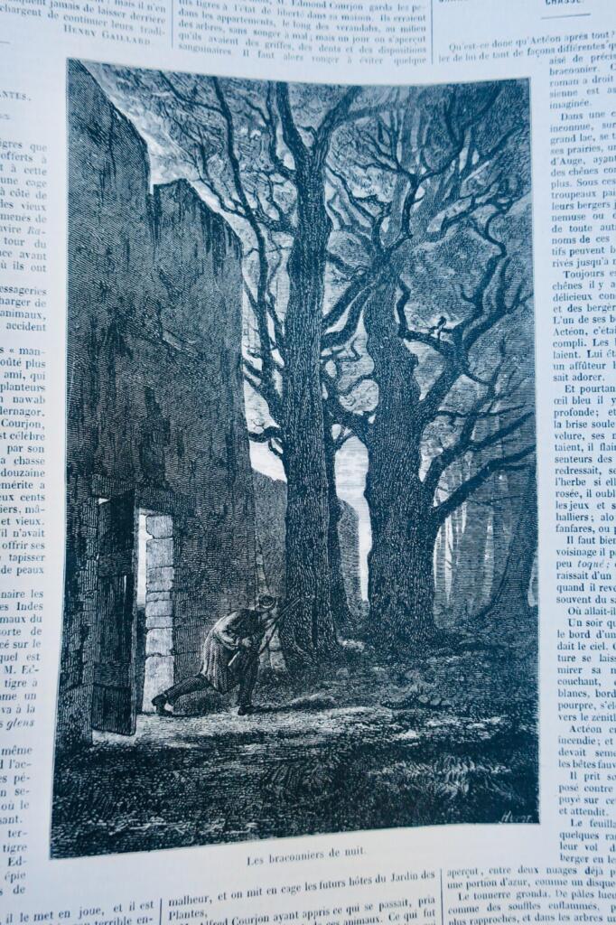 Illustrierte Jagdzeitschrift - Vergnügungen von Hof und Schloss 1867
