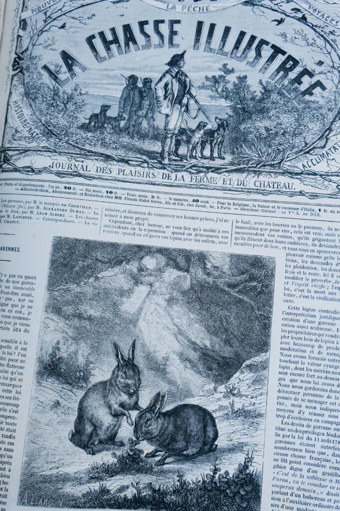 Illustriertes Jagdjournal