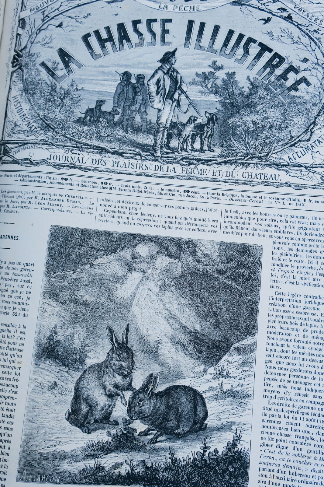 Illustriertes Jagdjournal - Image 12
