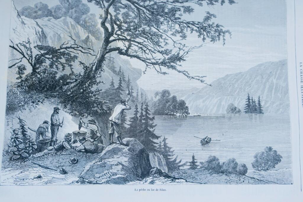Illustriertes Jagdjournal