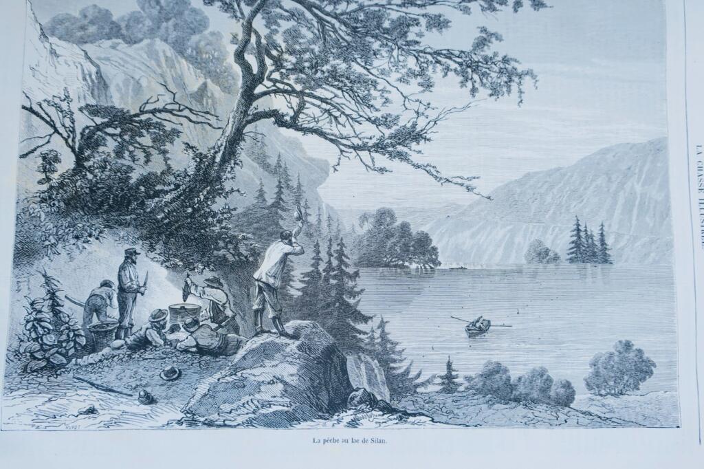 Illustrierte Jagdzeitschrift - Vergnügungen von Hof und Schloss 1867