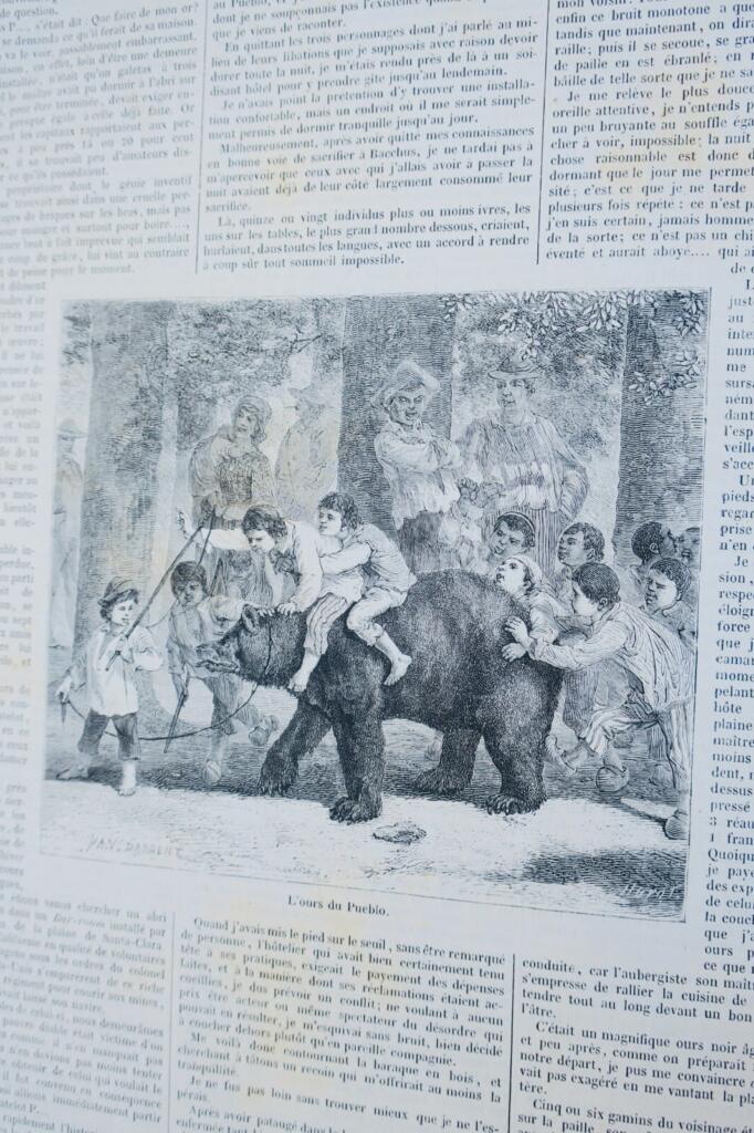 Illustrierte Jagdzeitschrift - Vergnügungen von Hof und Schloss 1867