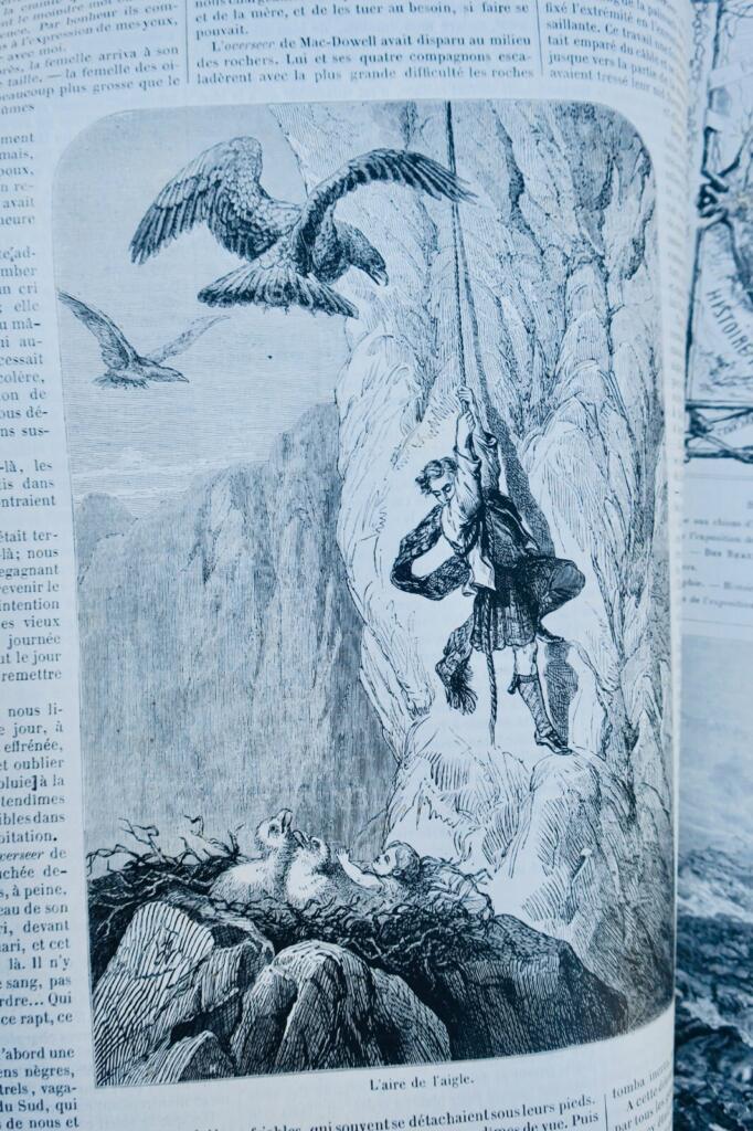 Illustriertes Jagdjournal