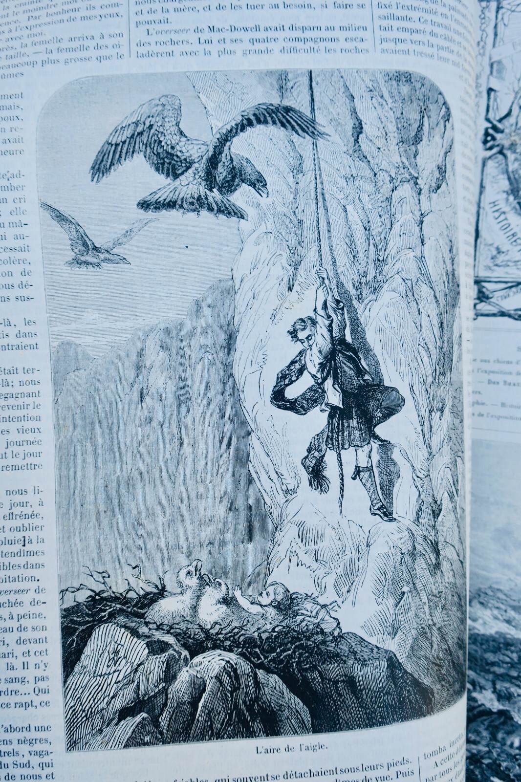Illustriertes Jagdjournal - Image 9