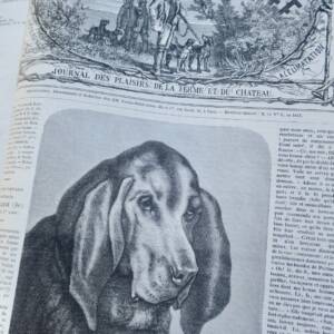 Chasse illustrée - Journal des plaisirs de la ferme et du château 1869-1870