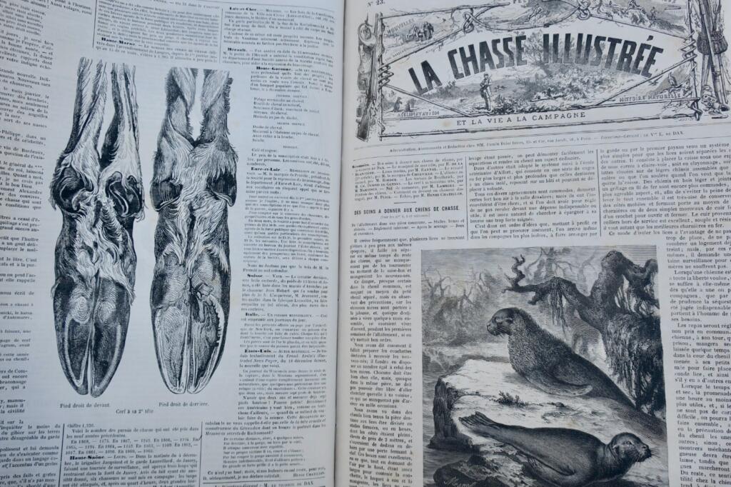 Chasse illustrée – Journal des plaisirs de la ferme et du château 1869-1870
