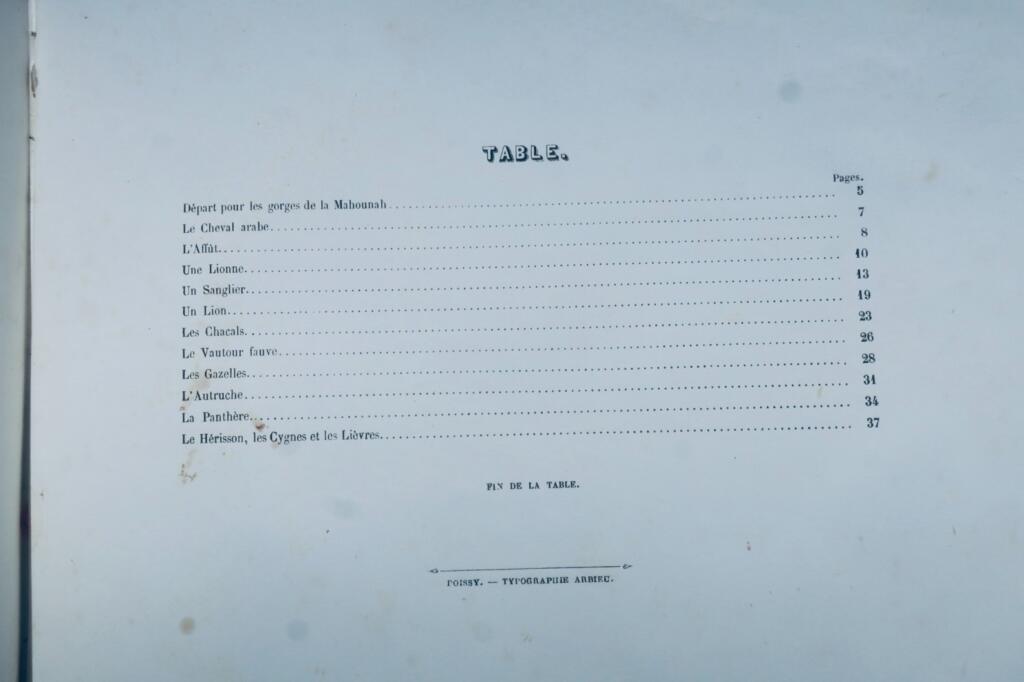 Jagd-Szenen in Afrika