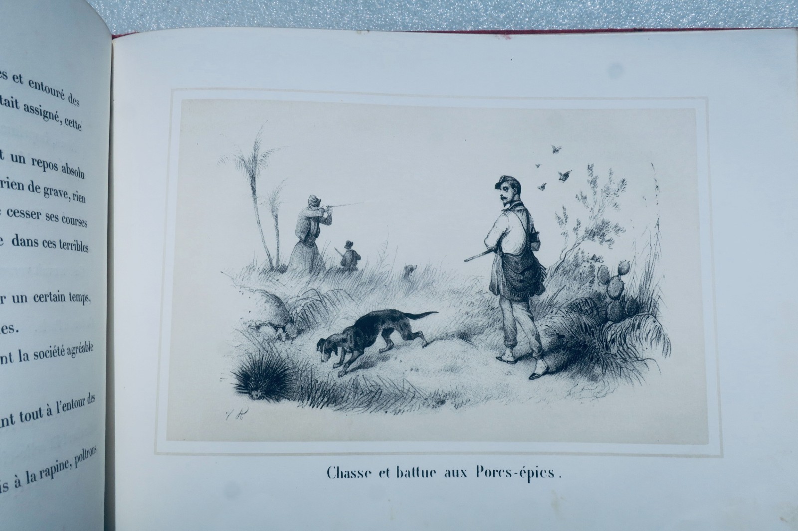 Chasses en Afrique illustrées par Victor Adam – Image 4