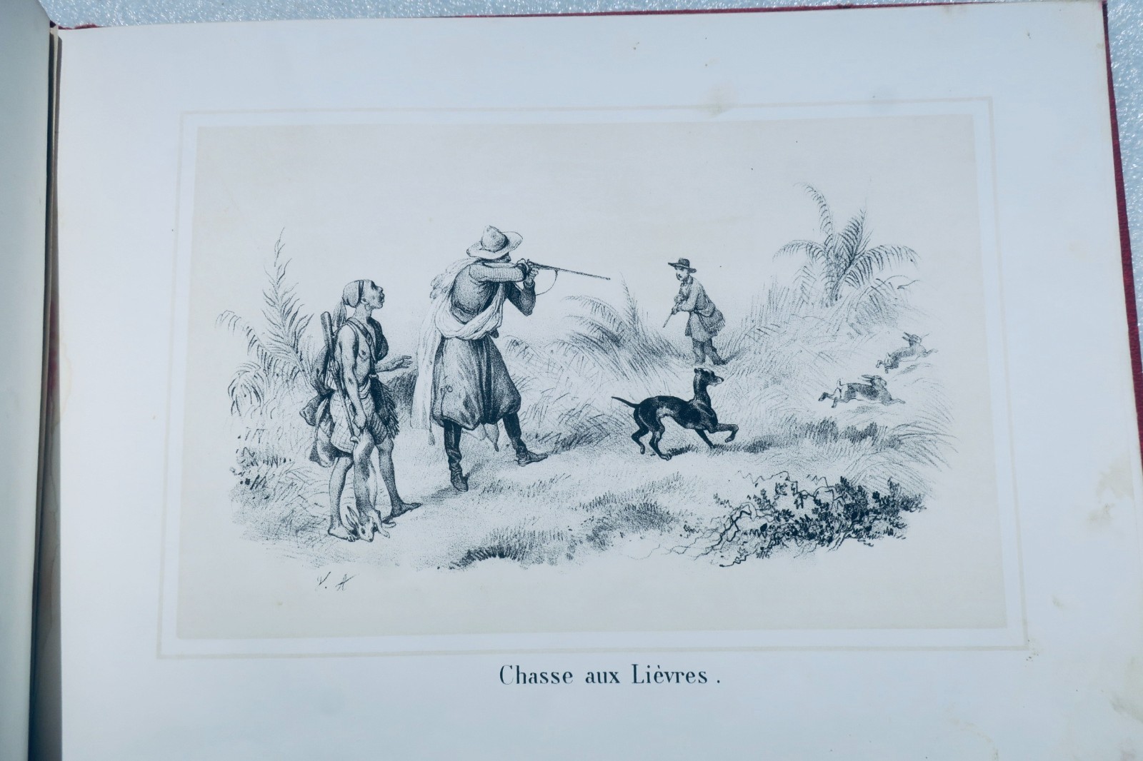 Chasses en Afrique illustrées par Victor Adam – Image 3