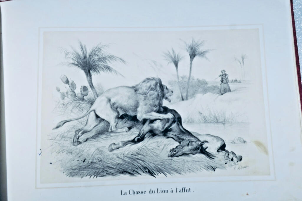 Jagd-Szenen in Afrika