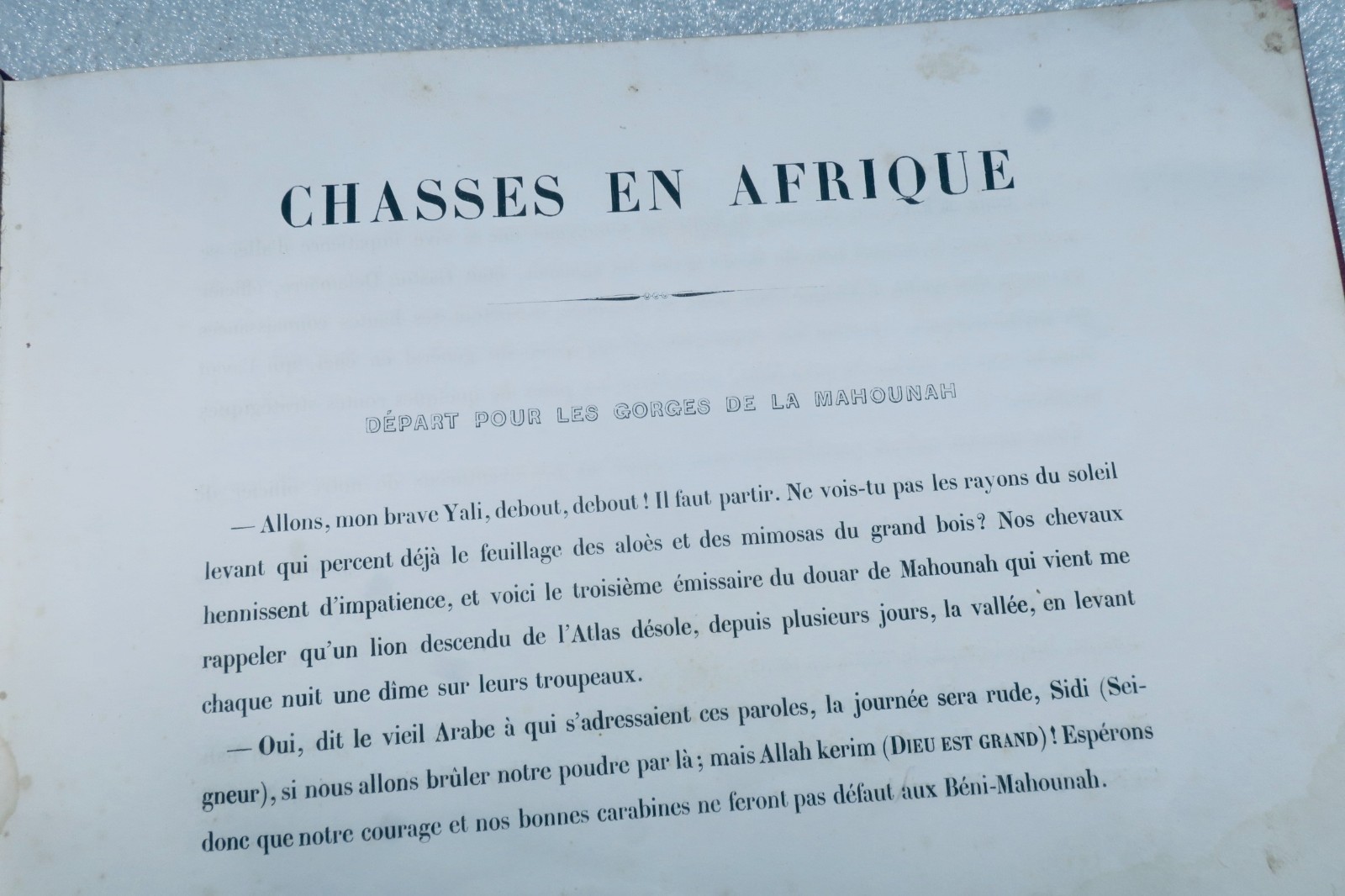 Chasses en Afrique illustrées par Victor Adam – Image 2