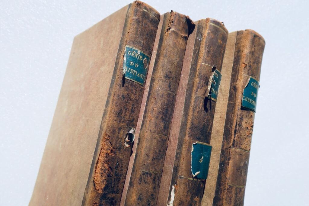 Der Geist des Christentums