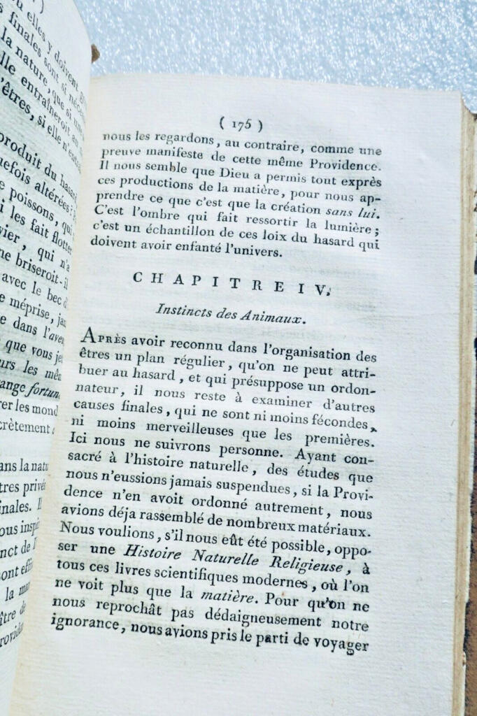 Der Geist des Christentums