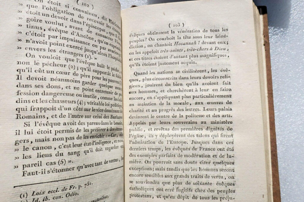 Der Geist des Christentums
