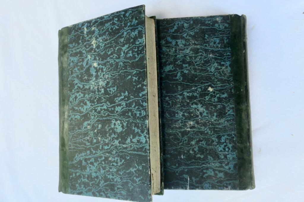 Geist des Christentums und Schönheit der Religion
