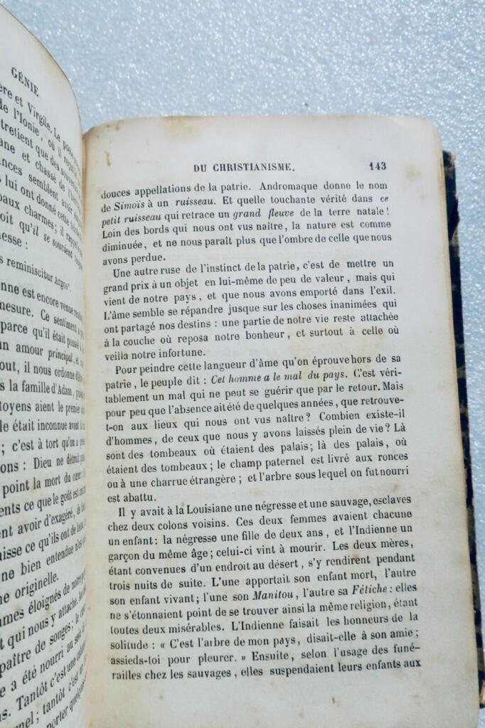 Der Geist des Christentums
