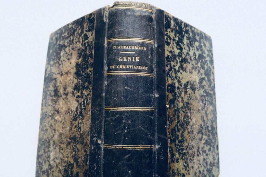 Der Geist des Christentums