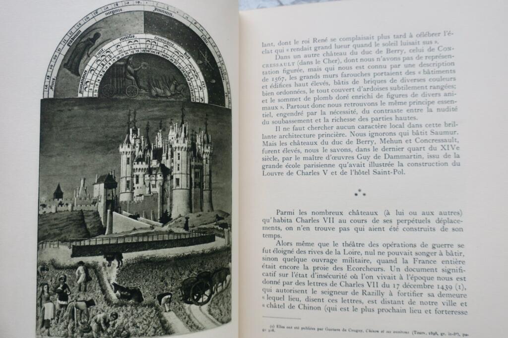 Führer zu den Schlössern des Loiretals