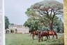 Bordeaux Wine Estates Illustrated