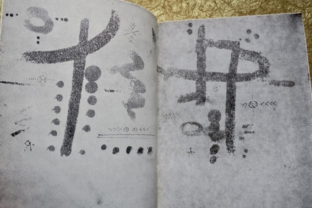 罕见的友谊故事