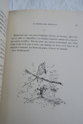 Le pimpet - Illustrierter Kinderabenteuerroman - Image 8