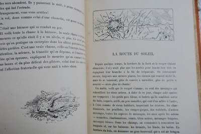 Le pimpet - Illustrierter Kinderabenteuerroman - Image 4