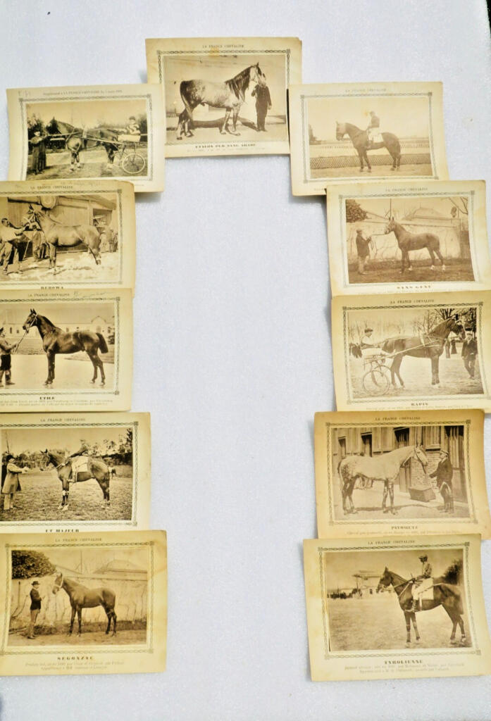Französische Pferdereferenz: 194 Pferdekarten