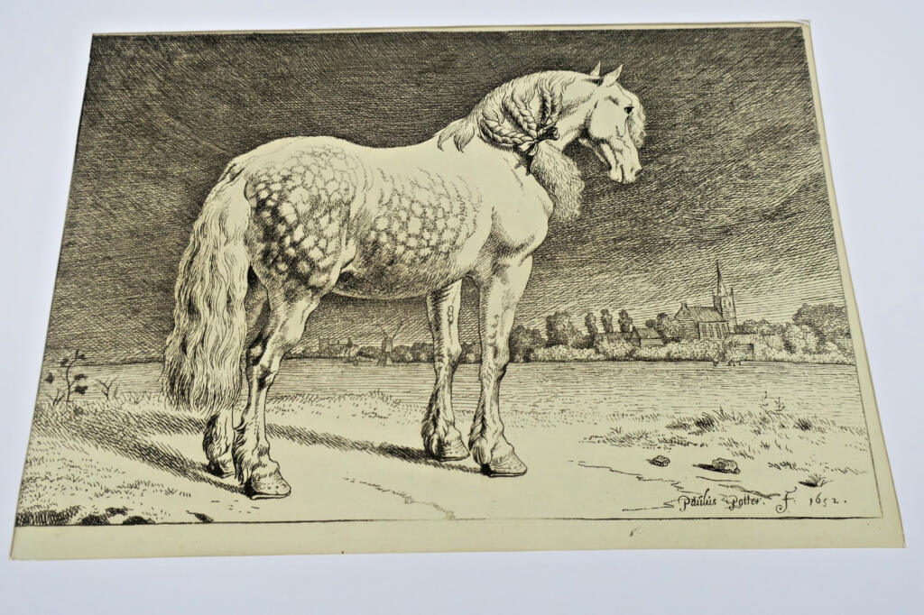 Gravures originales de chevaux sur cuivre XV et XVII par Paulus Potter, Brescia