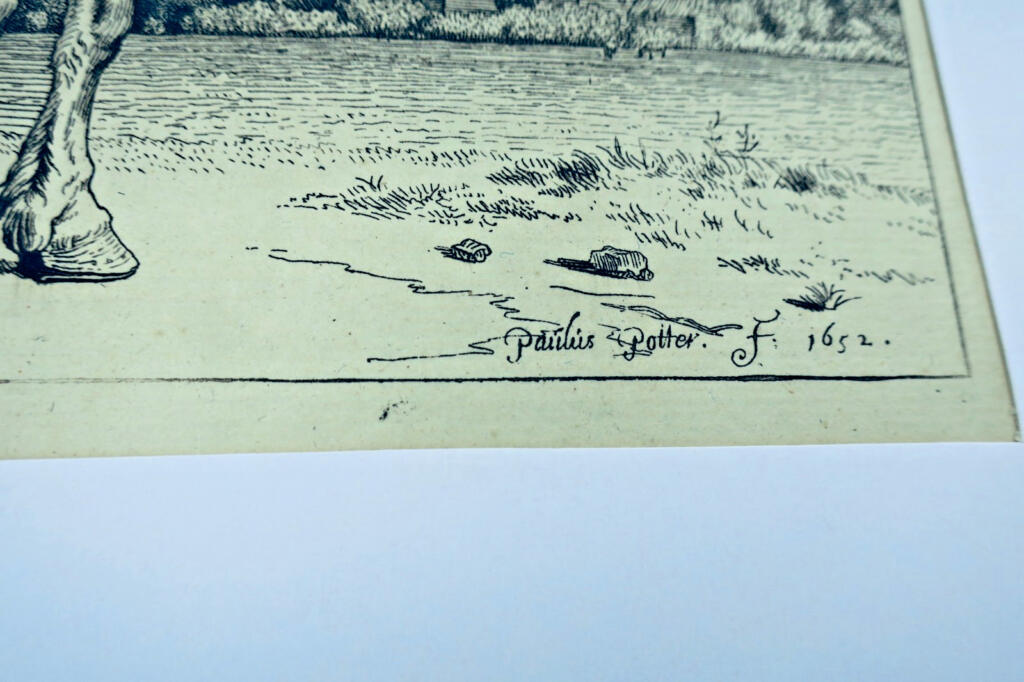 Gravures originales de chevaux sur cuivre XV et XVII par Paulus Potter, Brescia