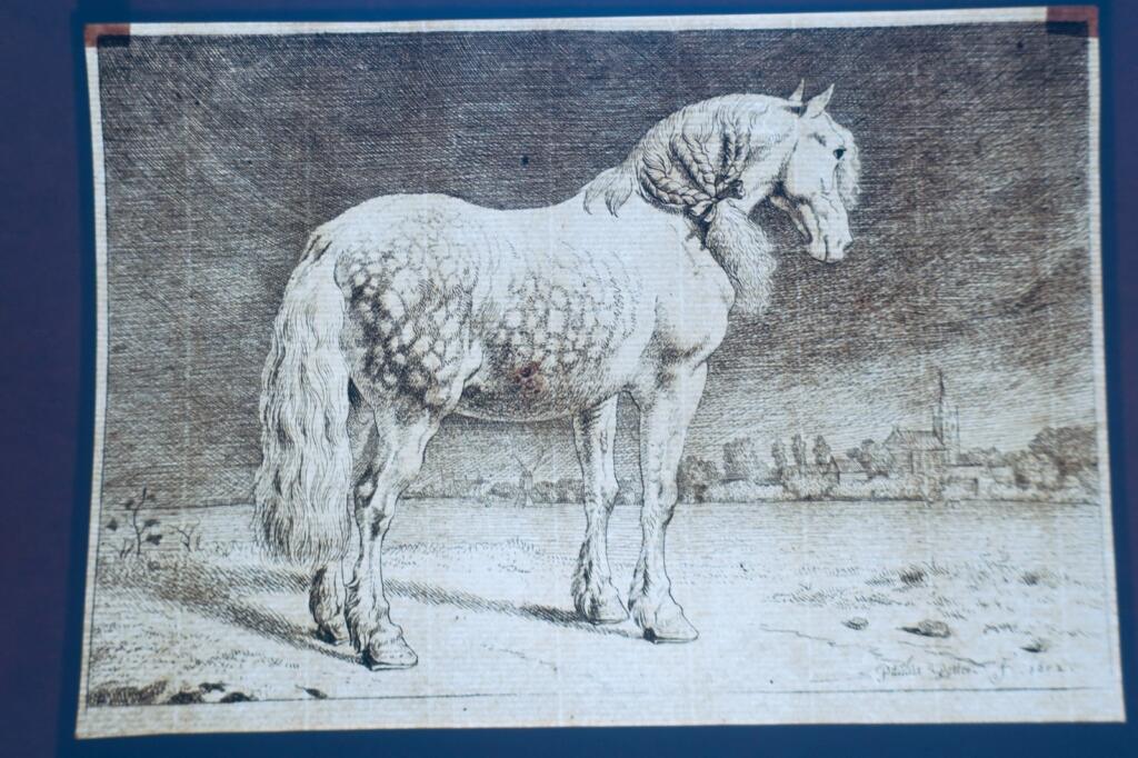Cheval gravures originales sur cuivre XVè & XVIIè Paülus Potter, Brescia